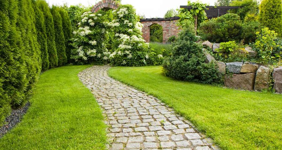 Grüner Zaun als Sichtschutz im Garten